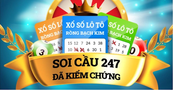 soi cau gio vang 8day